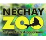 Nechay Zoo в зоомагазине ZOOPET