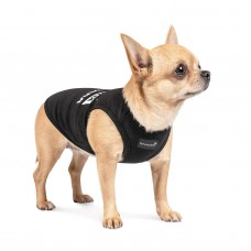 Борцовка для собак Pet Fashion «Собака - настрій піднімака» XS