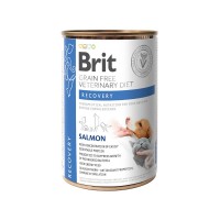 Влажный корм Brit VetDiets Recovery для собак и кошек во время выздоровления, восстановление после операции, 400 г (лосось) - cts