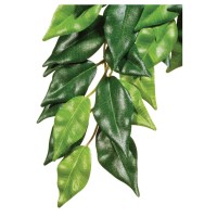 Декорация для террариума Exo Terra растение «Ficus» M (шёлк)