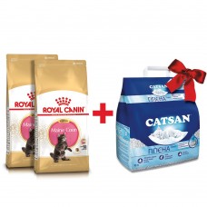 Сухий корм для кошенят породи мейн-кун Royal Canin Kitten Maine Coon | 4 кг + Catsan 10 л (домашня птиця)