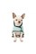 Попона Pet Fashion «Blanket» для собак, размер М, мята