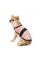 Попона Pet Fashion «Blanket» для собак, размер М, пудра