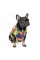 Жилет Pet Fashion «Spring» для собак, размер M, принт