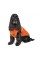 Жилет Pet Fashion «Spring» для собак, размер S, оранжевый