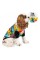 Футболка Pet Fashion для собак, размер S, с принтом