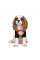 Футболка Pet Fashion «Mood» для собак, розмір XS2, з принтом