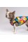 Борцовка Pet Fashion «Cool» для собак, размер S, с принтом