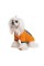 Футболка Pet Fashion «Art» для собак, розмір S, помаранчева