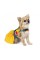 Платье Pet Fashion «Sun» для собак, размер M, желтое