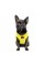 Борцовка Pet Fashion «Puppy» для собак, размер XS2, желтая