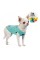 Борцовка Pet Fashion «Puppy» для собак, размер XS, мятная