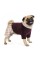 Костюм Pet Fashion «Spell» для собак, размер XS2, бордовый
