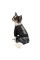 Костюм Pet Fashion «Vogue» для собак, розмір S, чорний