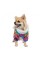 Комбінезон Pet Fashion «Amaze» для собак, розмір M, з принтом