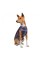 Жилет Pet Fashion «Calm» для собак, размер S, фиолетовый