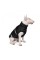 Жилет Pet Fashion «Big Boss» для собак, розмір 3XL, чорний