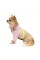 Толстовка Pet Fashion «Daisy» для дівчинки, розмір XS, рожевий