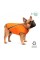 Жилет Pet Fashion «E.Vest» для собак, размер S, оранжевый