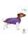 Жилет Pet Fashion «E.Vest» для собак, размер L, фиолетовый