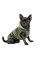 Жилет Pet Fashion «Louis» для собак, размер L, зеленый