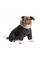Костюм Pet Fashion «Black» для собак, розмір M, чорний