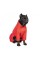 Комбінезон Pet Fashion «Cold» для такс, розмір XS, червоний