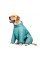 Комбінезон Pet Fashion «Cold» для собак, розмір M, бірюза