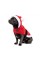 Попона Pet Fashion «Santa» для собак, розмір M, червона