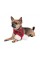 Шарф Pet Fashion «Happy» для собак, размер M-XL, красный