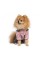 Дощовик Pet Fashion «Ariel» для дівчинки, розмір S, рожевий