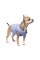 Бомбер Pet Fashion «Spike» для собак, розмір XS2, блакитний