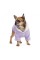 Толстовка Pet Fashion «Delicate» для собак, размер XS-2, лиловая