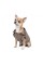 Жакет Pet Fashion «Harry» для собак, размер XS2, коричневый
