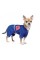 Дощовик Pet Fashion «Silver» для собак, розмір XL, синій