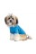Футболка Pet Fashion «Ivanko» для собак, размер S2, синяя