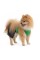Костюм Pet Fashion «Aleks» для собак, розмір M, зелений