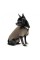 Вышиванка Pet Fashion «Marco» для собак, размер XS, льняная