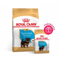 Сухой корм для щенков породы Йоркширский терьер Royal Canin Yorkshire Puppy 1,5 кг + 500 в ПОДАРОК (домашняя птица)