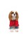Ветровка Pet Fashion «Air» для собак, размер XS-2, красная