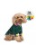Ветровка Pet Fashion «Air» для собак, размер S, зеленая