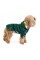 Ветровка Pet Fashion «Air» для собак, размер S, зеленая