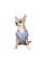 Бомбер Pet Fashion «Spike» для собак, розмір L, блакитний