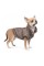 Жакет Pet Fashion «Harry» для собак, розмір М, коричневий