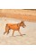 Жилет Pet Fashion «E.Vest» для собак, розмір M2, помаранчевий