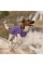 Жилет Pet Fashion «E.Vest» для собак, размер SM, фиолетовый