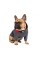Худі Pet Fashion «Snoodie» для собак, розмір M2, сірий