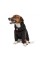 Худые Pet Fashion «Snoodie» для собак, размер SM, черный