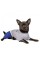 Костюм Pet Fashion «Оріон» для собак, розмір M, сірий