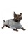 Жакет Pet Fashion «Шатл» для собак, розмір XS2, сірий